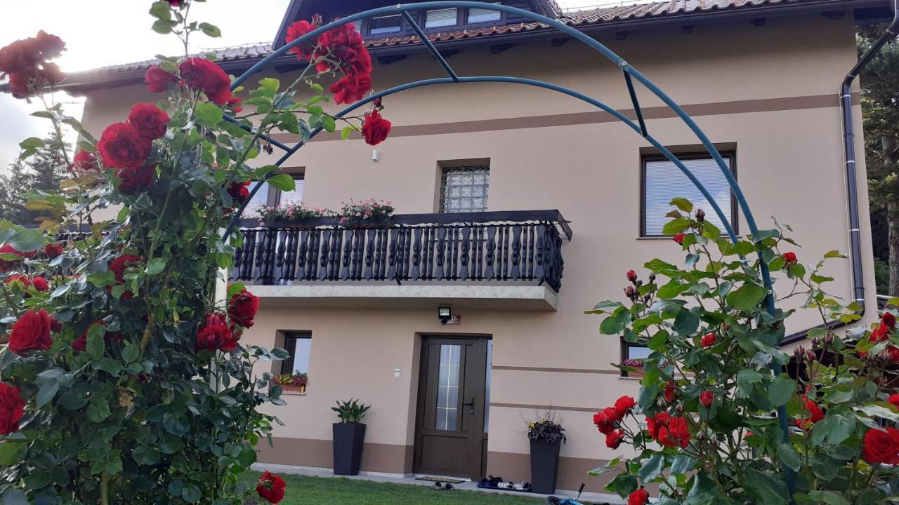 Apartment Panorama Зрече Экстерьер фото