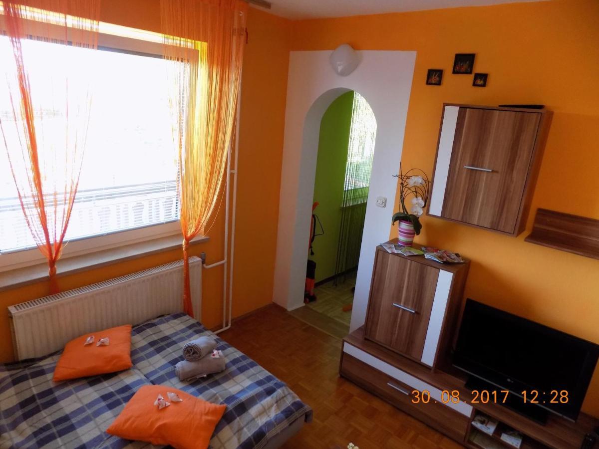 Apartment Panorama Зрече Экстерьер фото