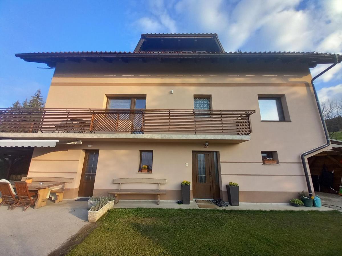 Apartment Panorama Зрече Экстерьер фото