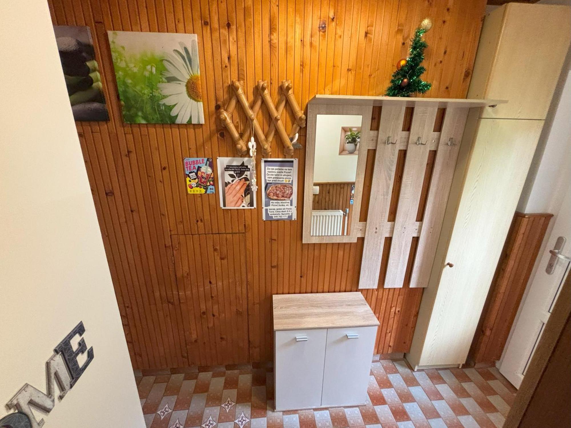 Apartment Panorama Зрече Экстерьер фото