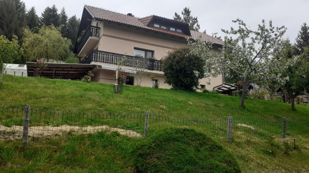 Apartment Panorama Зрече Экстерьер фото